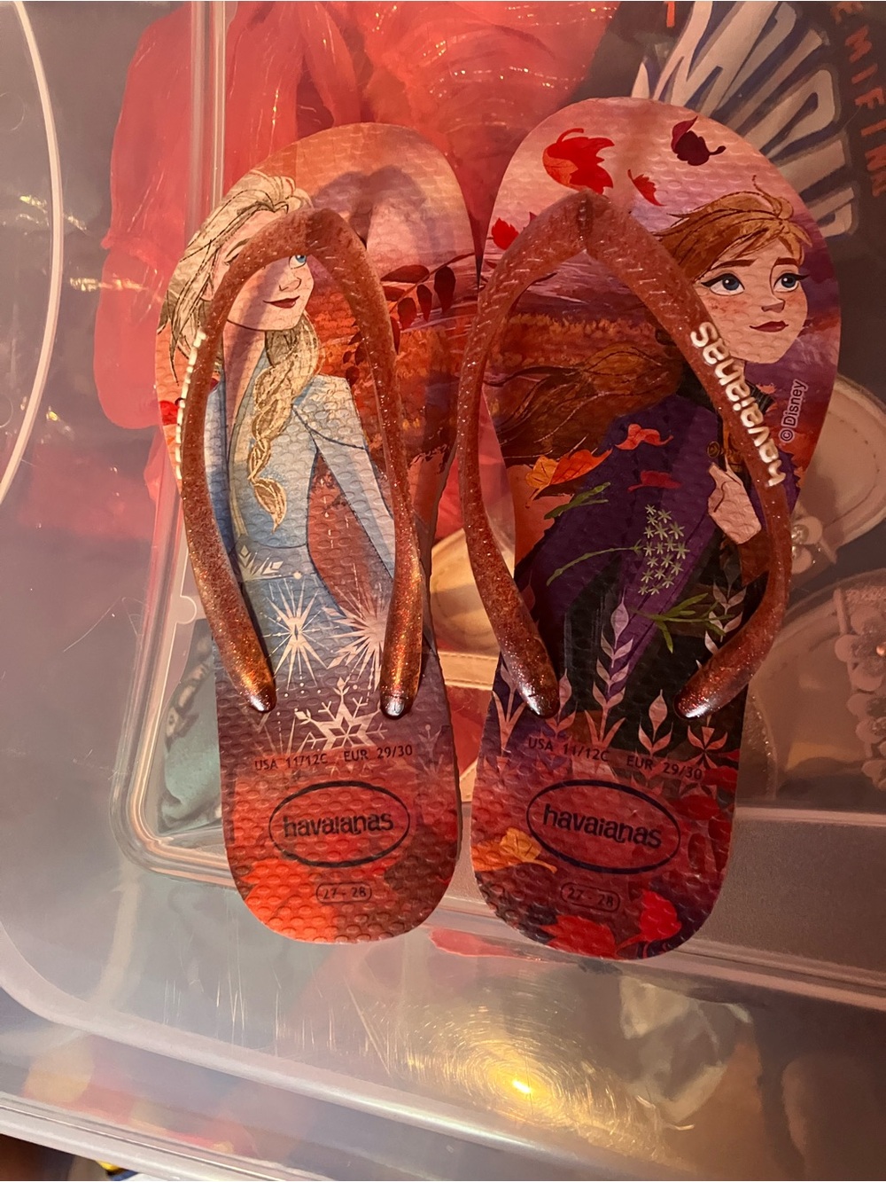 Frozen flip flops